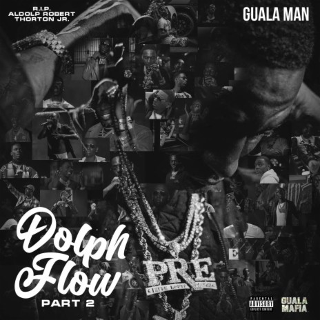Dolph Flow, Pt. 2 | Boomplay Music