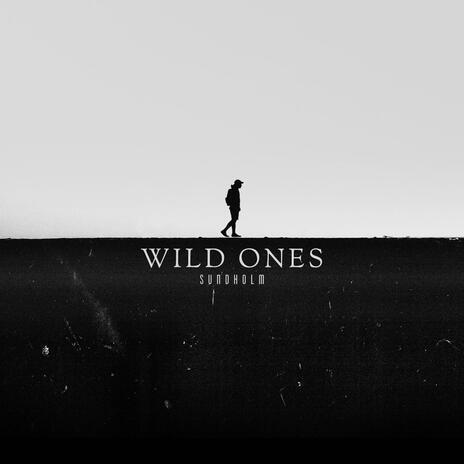 Wild Ones | Boomplay Music