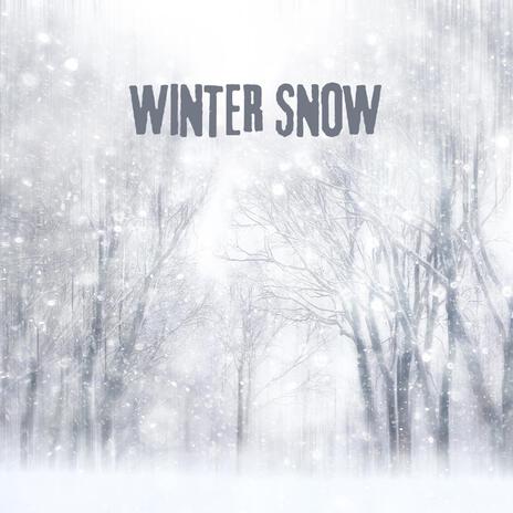 Winter Snow | Boomplay Music