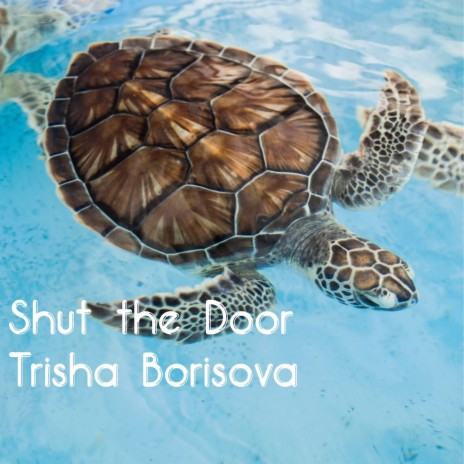 Shut the Door | Boomplay Music
