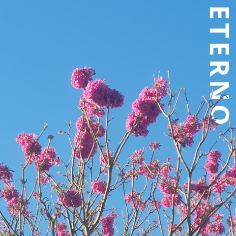 eterno (slowed & reverb) | Boomplay Music