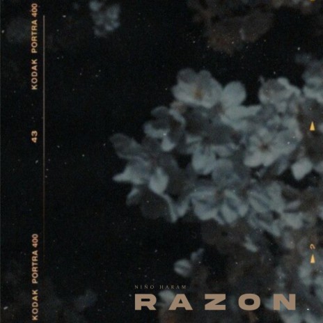 Razon | Boomplay Music
