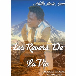 LES REVERS DE LA VIE lyrics | Boomplay Music