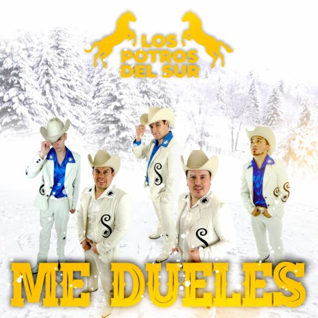 Me Dueles | Boomplay Music