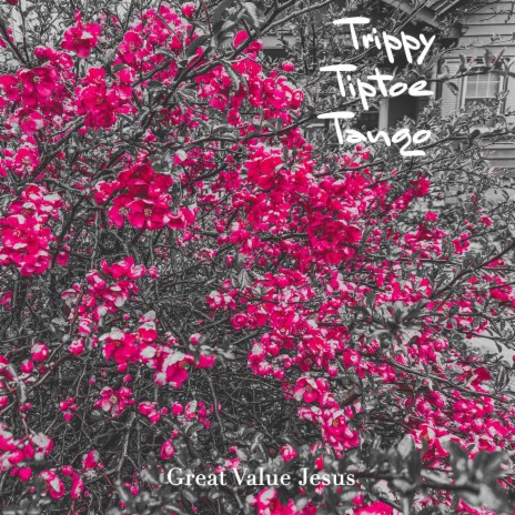 Trippy Tiptoe Tango | Boomplay Music