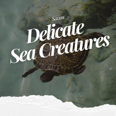 Delicate Sea Creatures | Boomplay Music