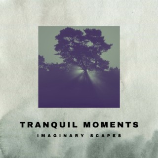 Tranquil Moments