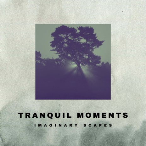 Tranquil Moments (Rain)