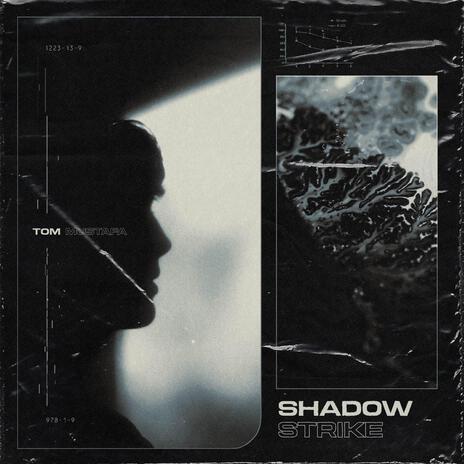 Shadow Strike | Boomplay Music