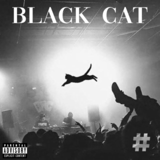 Black Cat