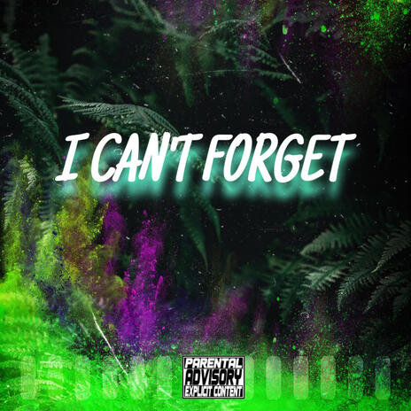 I Can't Forget | Boomplay Music