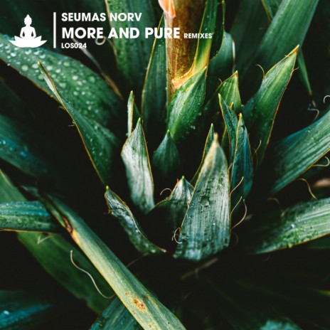 More and Pure (Classic Edit) | Boomplay Music