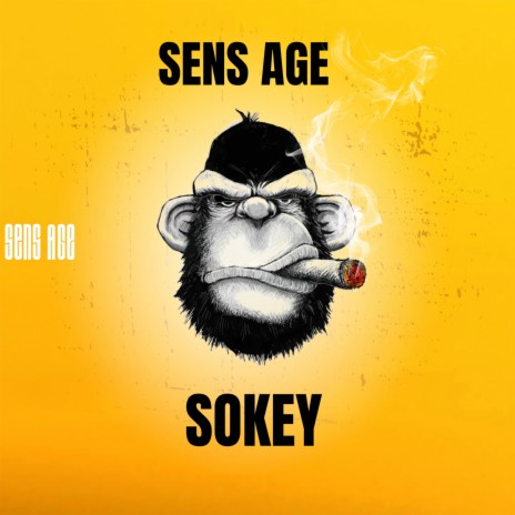 Sokey | Boomplay Music
