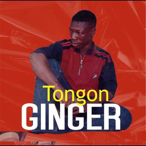 Ginger | Boomplay Music