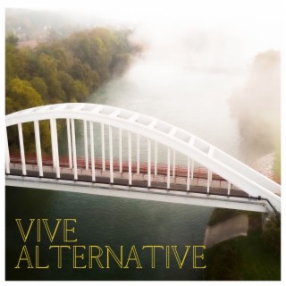 Vive alternative