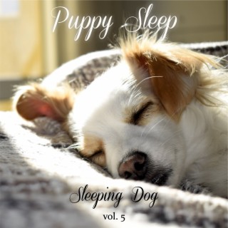 Sleeping Dog Volume 5
