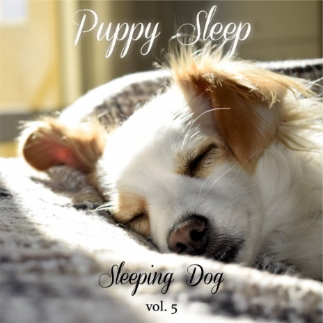 Relaxing Dog | Boomplay Music