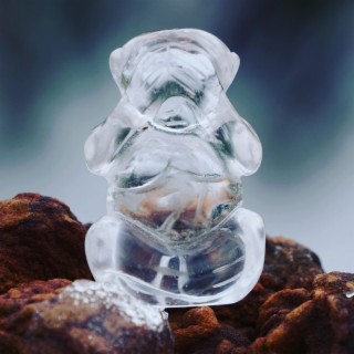 The Crystal Monkey