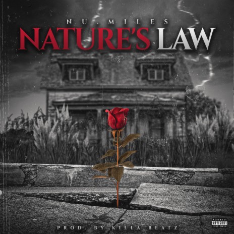 Nature's Law | Boomplay Music