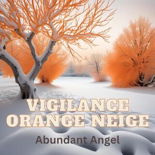 Vigilance Orange Neige