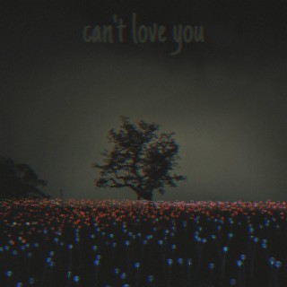 Can't Love You