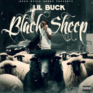 Black Sheep