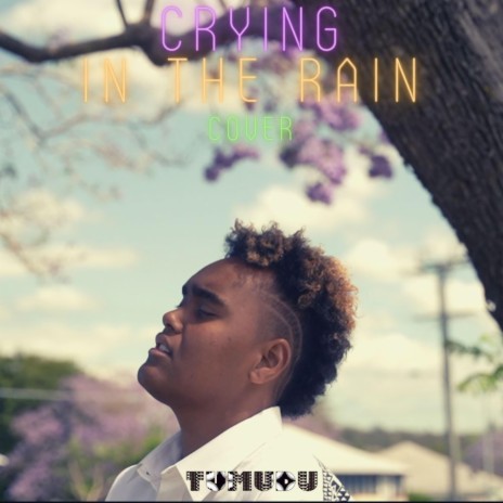 Crying In The Rain | Boomplay Music