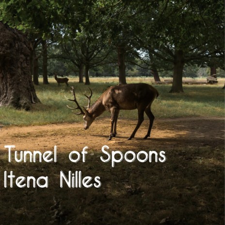 Tunnel of Spoons