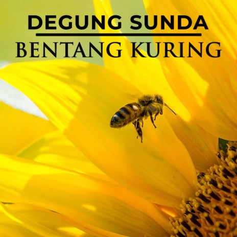 Bentang Kuring ft. Yus W.R | Boomplay Music