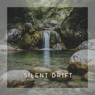 Silent Drift