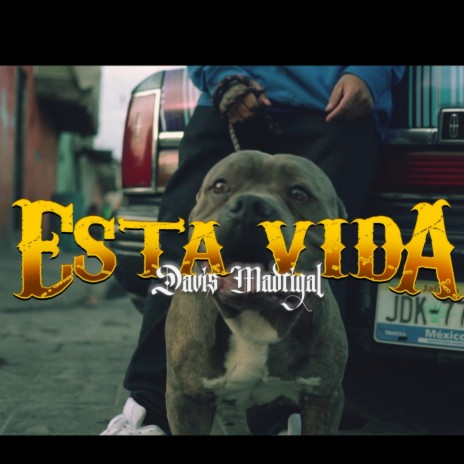 Está vida | Boomplay Music