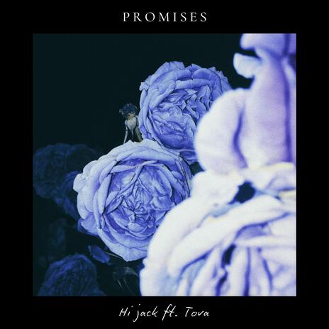 Promises ft. Tova | Boomplay Music