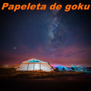 Papeleta de goku