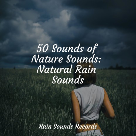 Natural Showers, Moderate, Soft Wind ft. Music For Absolute Sleep & Ocean Waves For Sleep | Boomplay Music