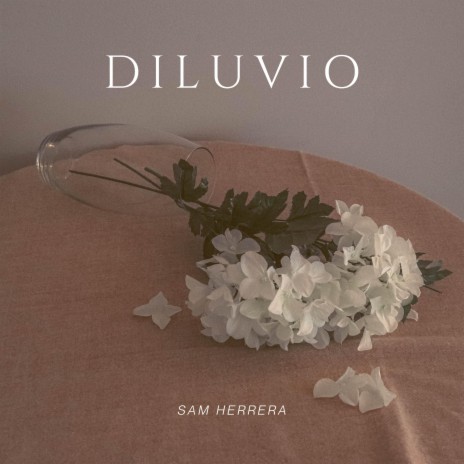 Diluvio | Boomplay Music