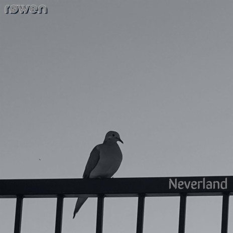 Neverland | Boomplay Music