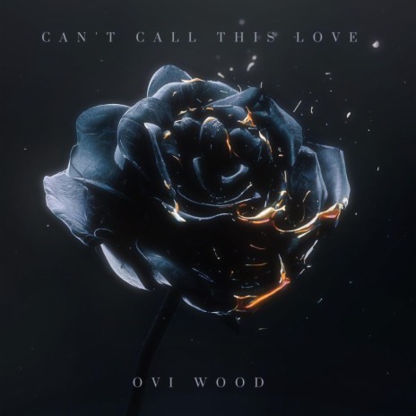 Can't Call This Love | Boomplay Music