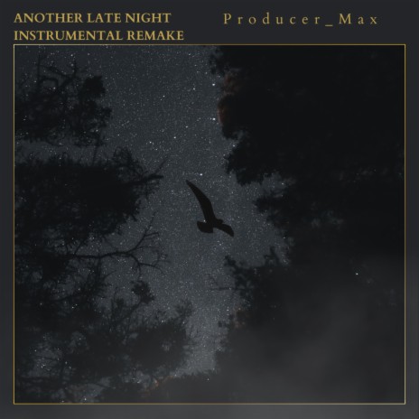 Another Late Night (Instrumental Remake) | Boomplay Music