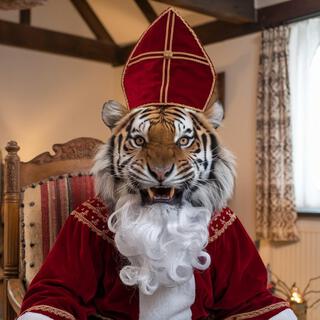 Sinterklaas is een tijger! | Sinterklaasliedjes!