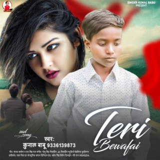 Teri Bewafai