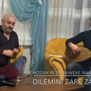 & MAMOSTE AYDIN DILÎMİNİ ZARE ZARE