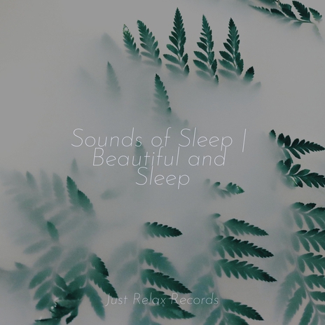 Drifting Above the Mist ft. Musica de Relajación Academy & Chinese Relaxation and Meditation | Boomplay Music