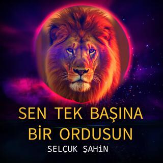 Sen Tek Başına Bir Ordusun