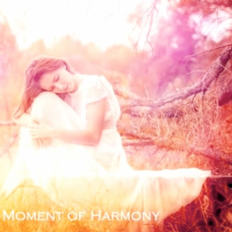 Moment Of Harmony | Boomplay Music