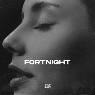 Fortnight (Remix) ft. Techno Bangers lyrics | Boomplay Music