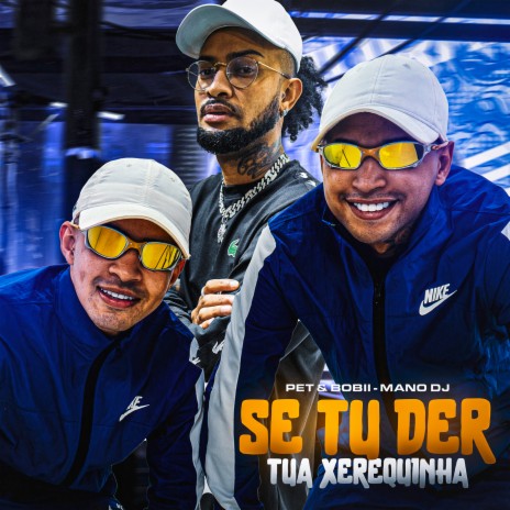 Se Tu Der Tua Xerequinha ft. Pet & Bobii | Boomplay Music