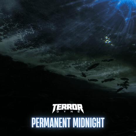 Permanent Midnight | Boomplay Music