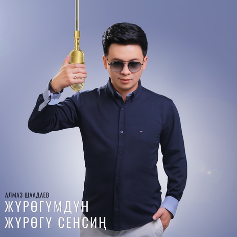 Жүрөгүмдүн жүрөгү сенсиң | Boomplay Music