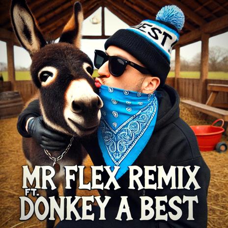 Mr Flex Remix (feat. Donkey a Best) | Boomplay Music