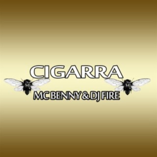 Cigarra